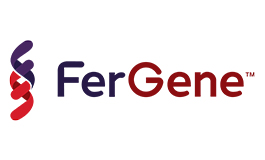 Fergene