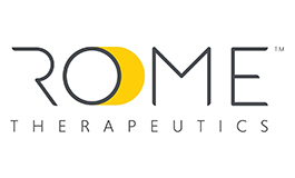 Rome Logo Off Grey